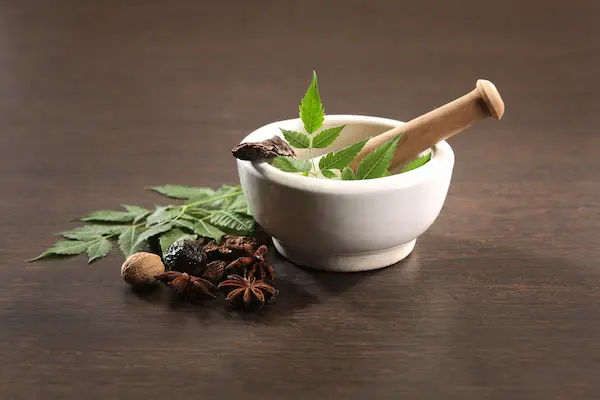 Punarnava Benefits